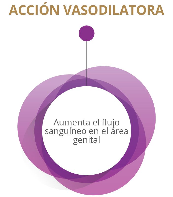 ACCIÓN VASODILATORA - Aumenta el flujo sanguíneo en el área genital.