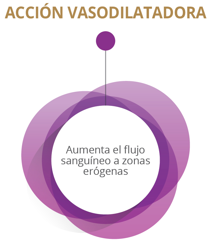 ACCIÓN VASODILATADORA - Aumenta el flujo sanguíneo a zonas erógenas