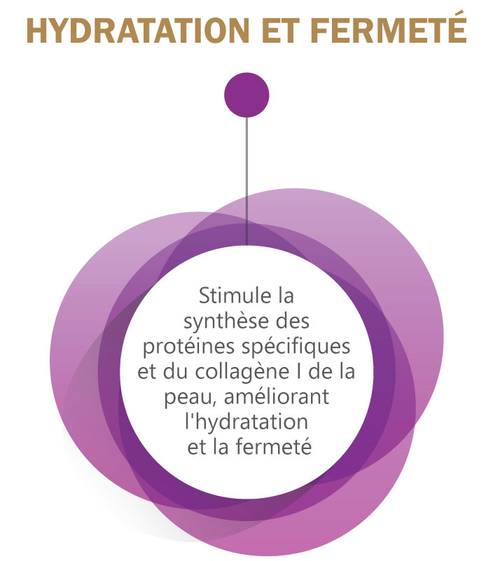 Hidratação e Firmeza - Estimula a síntese de proteínas especificas e de colagénio I da pele, melhorando a hidratação e a firmeza