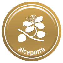 Alcaparra