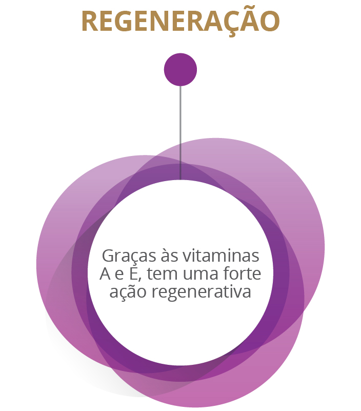 Regeneração - Graças às vitaminas A e E, tem uma forte ação regenerativa