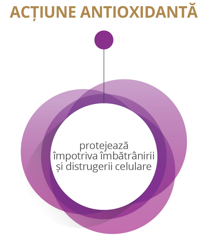 ACȚIUNE ANTIOXIDANTĂ - protejează împotriva îmbătrânirii și distrugerii celulare